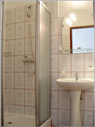 Отель Vila Casa Alesiv Клуж-Напока