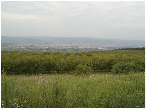 Отель Vila Casa Alesiv Клуж-Напока-20