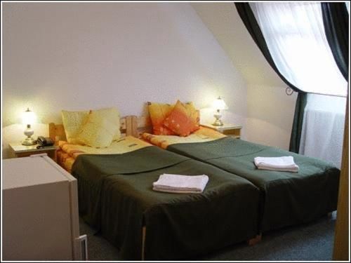 Отель Vila Casa Alesiv Клуж-Напока