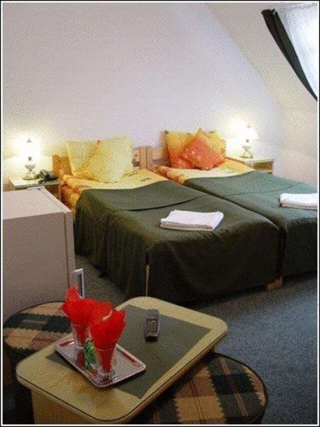 Отель Vila Casa Alesiv Клуж-Напока-12
