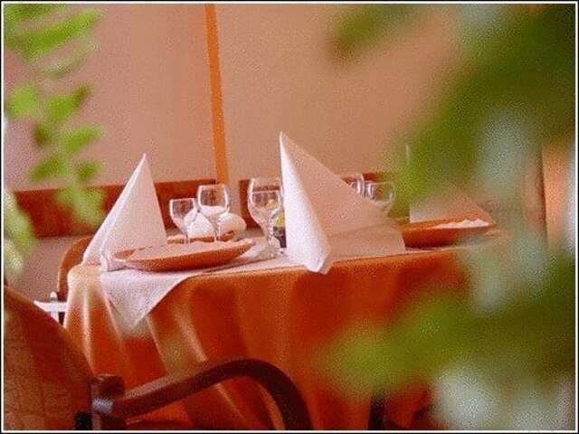 Отель Vila Casa Alesiv Клуж-Напока-15