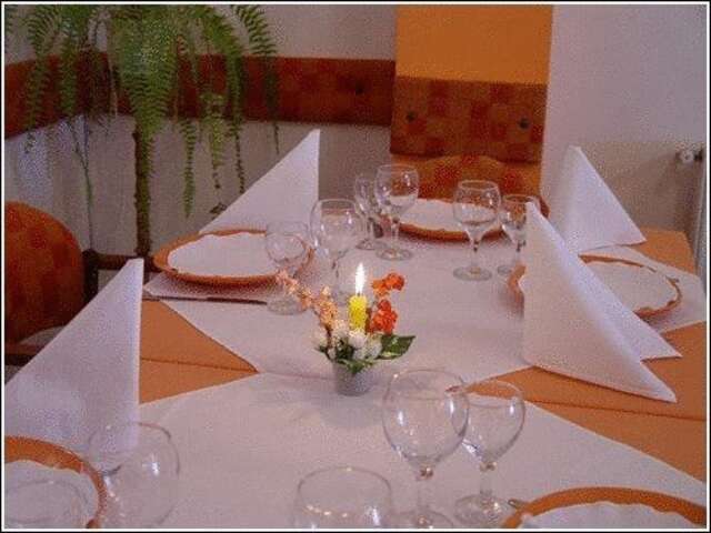 Отель Vila Casa Alesiv Клуж-Напока-17