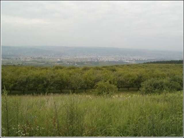 Отель Vila Casa Alesiv Клуж-Напока-19