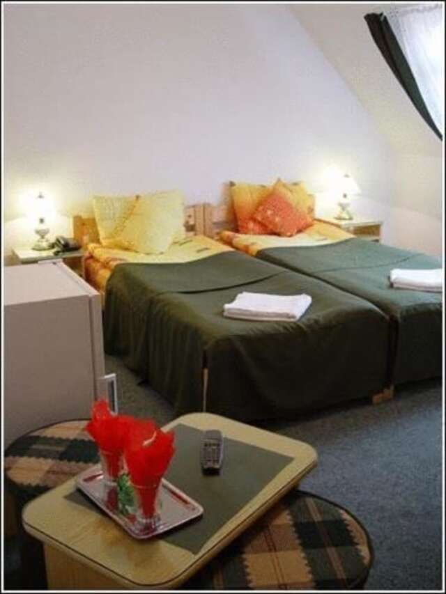 Отель Vila Casa Alesiv Клуж-Напока-26