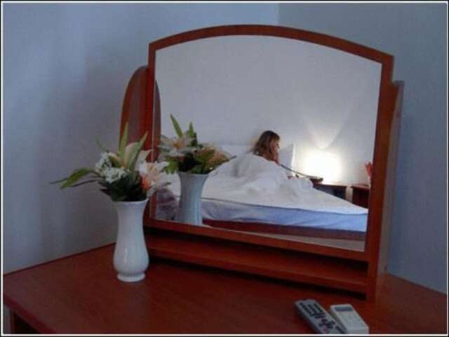 Отель Vila Casa Alesiv Клуж-Напока-27