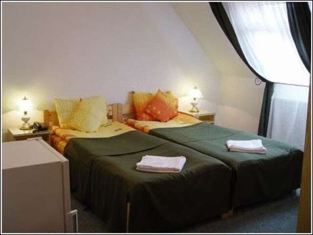 Отель Vila Casa Alesiv Клуж-Напока-11